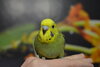 CSC_0434.JPG