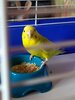 IMG_20201230_105837_1.jpg