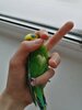 IMG_20210106_114303.jpg
