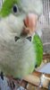 IMG_20200827_171017.jpg
