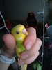 P_20210109_153900_vHDR_Auto.jpg