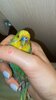 A3D95D73-63ED-41B6-AEDB-2CDFC649BB43.jpeg