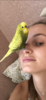 8691ADFC-7545-4972-A805-C4C7ECA99D24.png