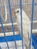 IMG_20201226_212650.jpg