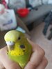 20210119_131324.jpg