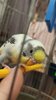 IMG_20210125_203307.jpg