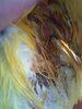 20210126_124701.jpg