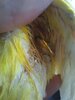 20210126_124651.jpg