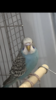 EDE6651A-9C18-43DA-B9B5-1C16916478E6.png