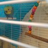 IMG_20210130_134941.jpg