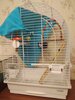 IMG_20210131_201742.jpg