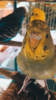 A824213F-2022-45DB-B2B9-D17A5F42E100.png