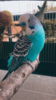 64F5B9D2-A345-470D-8872-BF9CB31B7225.png