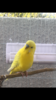 42B78E4C-2D3D-4B57-B011-0F358317BE45.png
