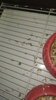 IMG_20210207_174353.jpg