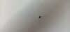 c5be8f69-ef54-46d8-929f-84900a776881.jpg