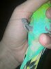 IMG_20210212_170812.jpg