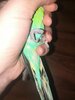 IMG_20210212_170803.jpg