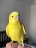 F423DDDC-BEBB-4680-A564-7455789D1D34.jpeg