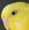 2021-02-17_174944.png