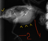 2021-02-19_11-58-54.png