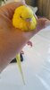 20210219_172209.jpg