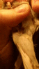 doc_2021-03-01_01-58-02.gif.6eeb26e434370c288b3052161e9a795f.gif