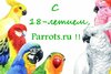 e60a796fea7dd2171228b7c6e4e22def.jpg