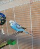 IMG_20210305_113506.jpg