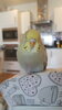IMG-20210307-WA0010.jpeg