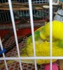 IMG_20210308_140321.jpg
