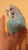 IMG-20210308-WA0015.jpeg