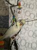 0dcc23be-a845-4134-8334-0a63646e7c05.jpg