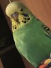 1FBDD96F-1CFA-49ED-A044-B6B4279E0589.jpeg