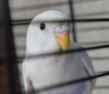 DSC_1182.JPG