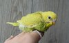 DSC_1210.JPG