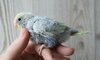 DSC_1206.JPG