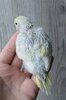 DSC_1202.JPG