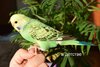 DSC_0261.JPG