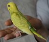 DSC_1280.JPG