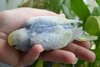 DSC_1278.JPG