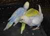 DSC_1257.JPG