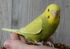 DSC_1358.JPG