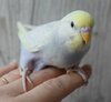 DSC_1349.JPG