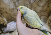 _DSF0871.jpg