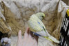 _DSF0890.jpg