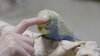 DSCF0077.jpg