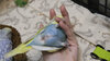 DSCF0112.jpg