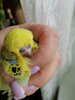 IMG_20200313_131150.jpg