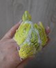 DSC_1404.JPG